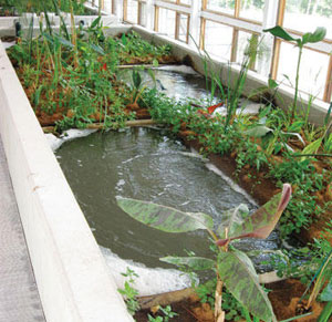 The Living Building Challenge